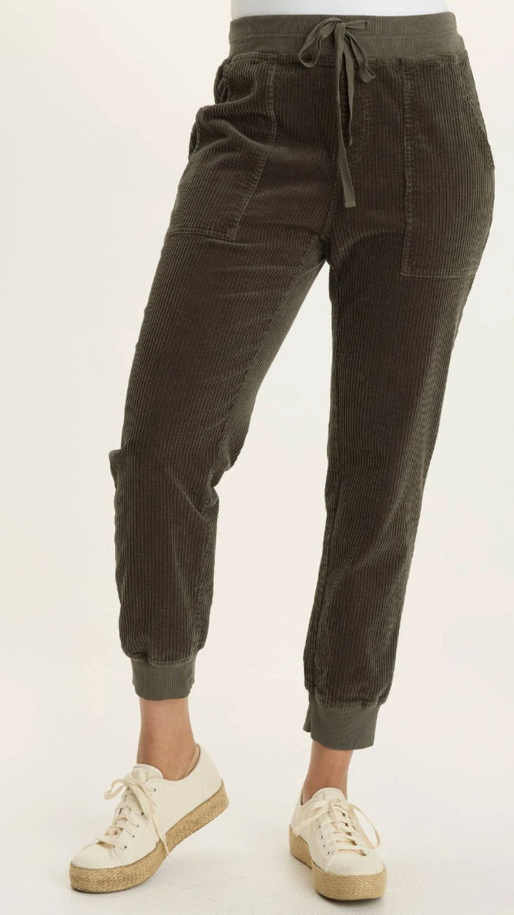 Intergalactic Dino Banded Pants