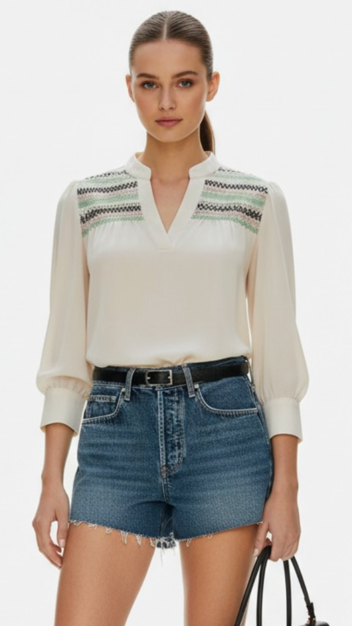 Oyster Multi Color Yoke Embroidered Blouse