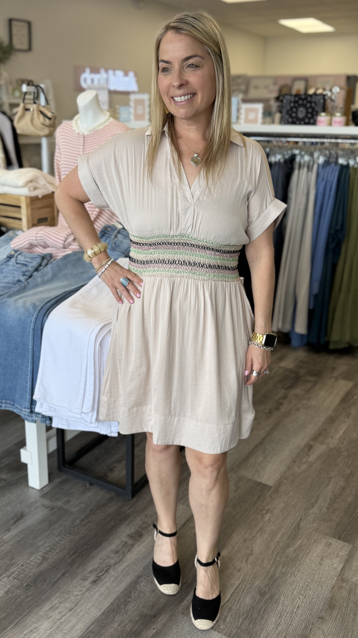 Oyster Multi Color Waist Dress