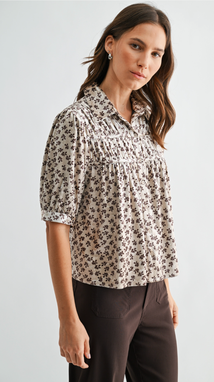 Shirring Velvet Half Sleeve Top