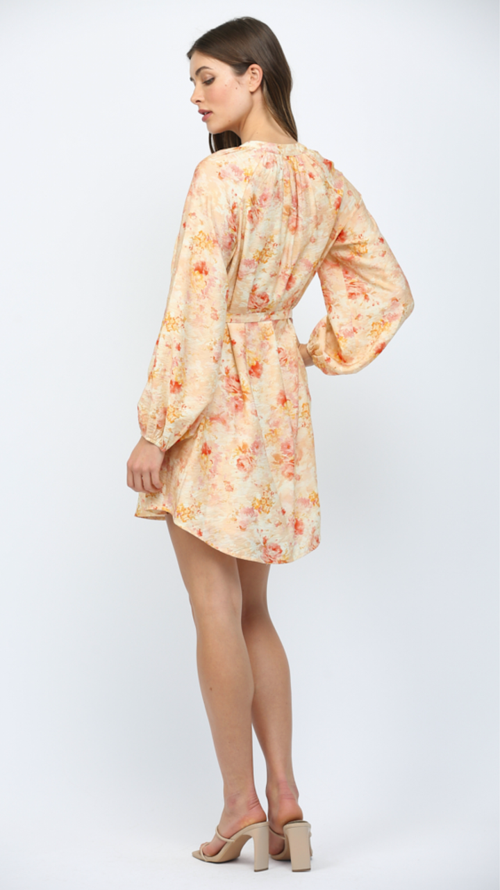Button Down Dress With Raglan Sleeves
