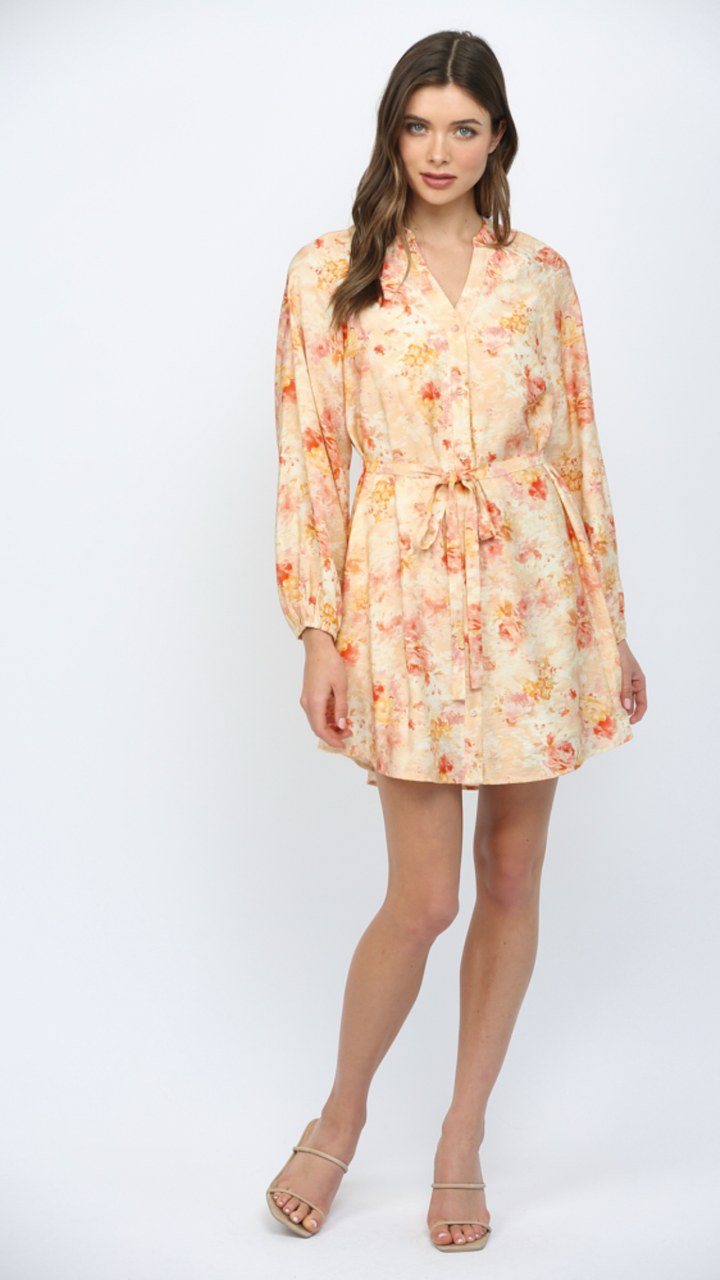 Button Down Dress With Raglan Sleeves