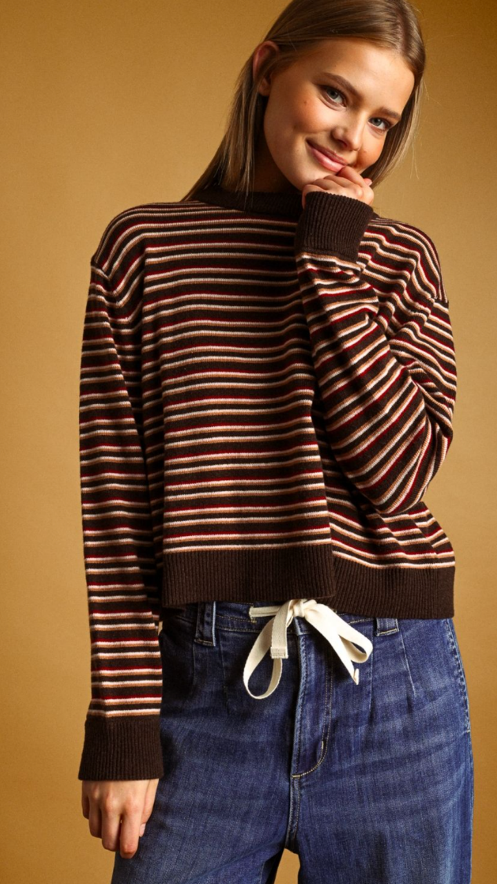 Brown Multi Color Striped Round Neck Knit Top