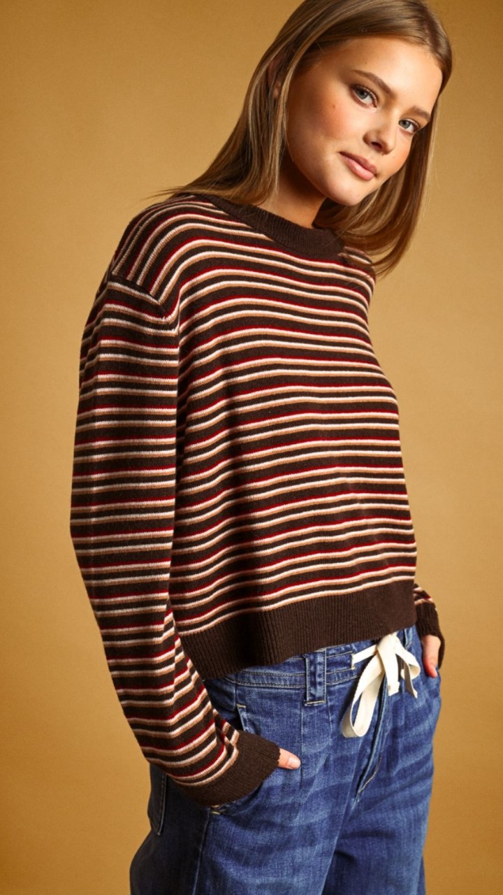 Brown Multi Color Striped Round Neck Knit Top
