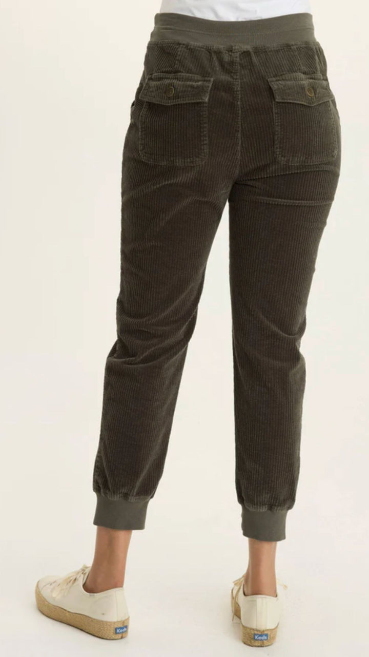 Intergalactic Dino Banded Pants