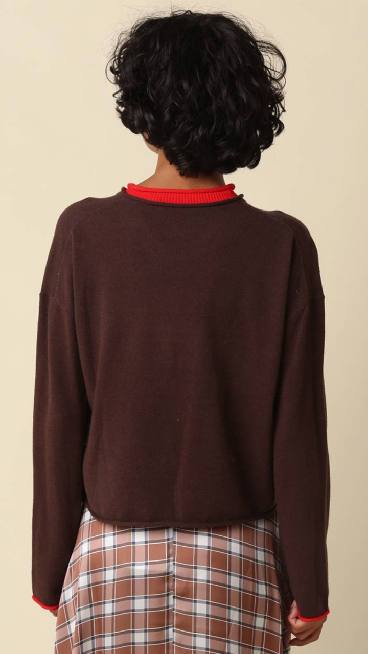 Coffee And Red Contrast Trim Knit Sweater