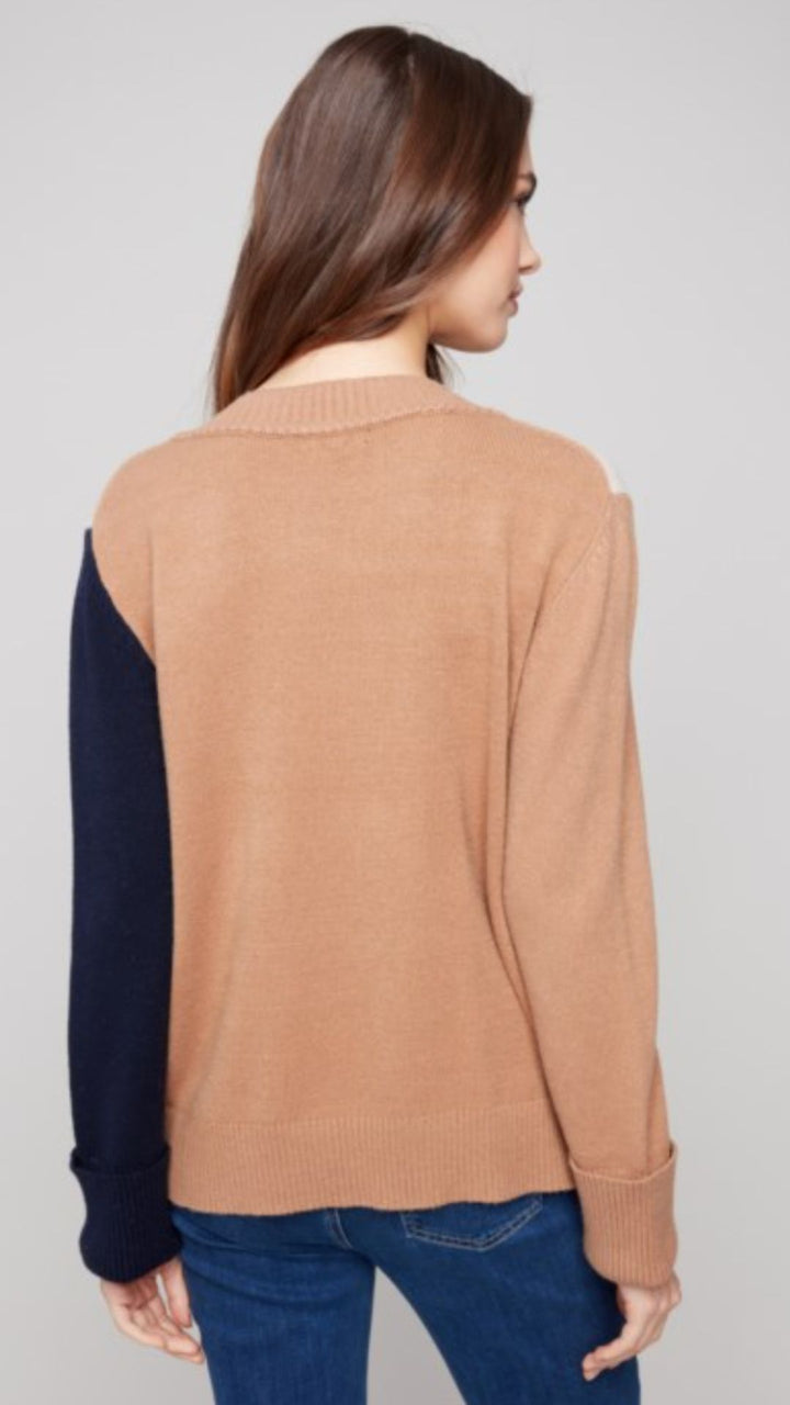 Truffle Colorblock V Neck Sweater