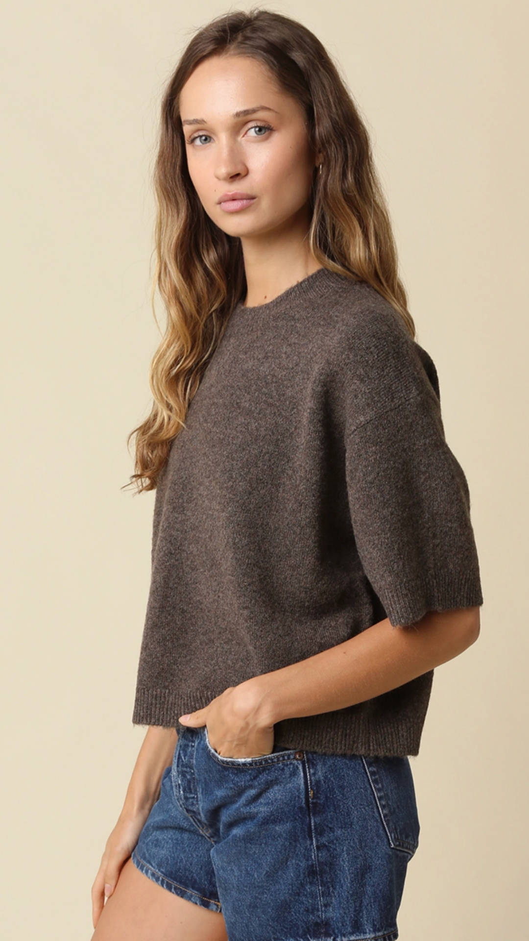 Brown Half Sleeve Sweater