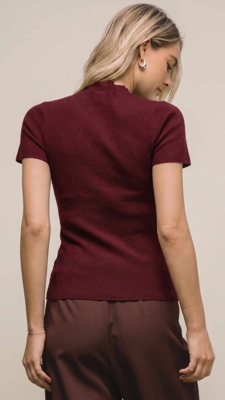 Burgundy Short Sleeve Soft Knit Sweater Top