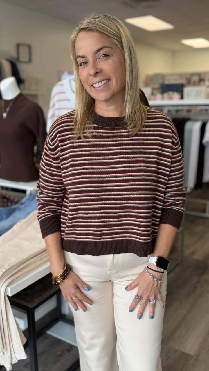 Brown Multi Color Striped Round Neck Knit Top