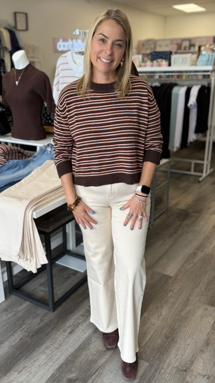 Brown Multi Color Striped Round Neck Knit Top